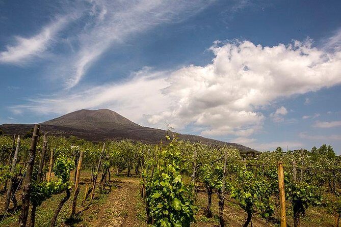 Vesuvio Gran cono + Wine Tasting & Lunch + Transfer from Naples - Key Highlights at a Glance