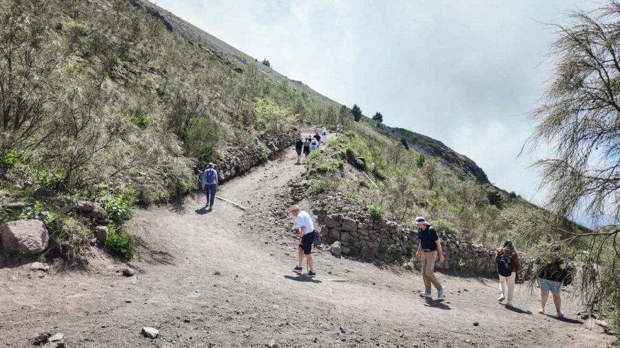 Vesuvius Volcano Experience: from Naples, Pompeii and Rome - Important Limitations to Know Before You Book
