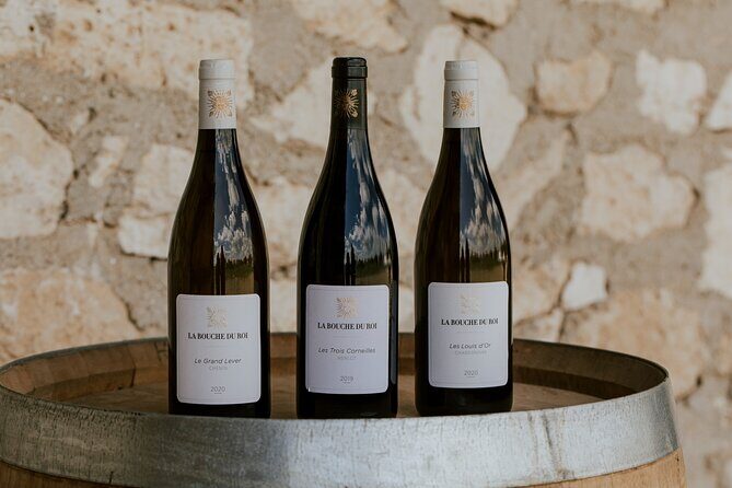 Vineyard tour and wine tasting in Davron - Price and value for a 90-minute Ile-de-France wine tasting