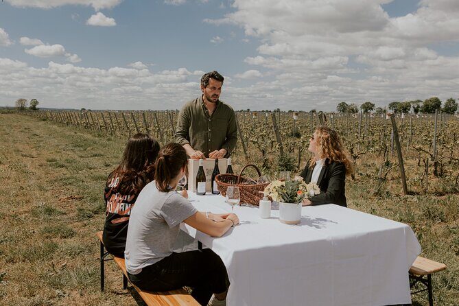 Vineyard tour and wine tasting in Davron - Guided walk through the vineyard and the tasting stages
