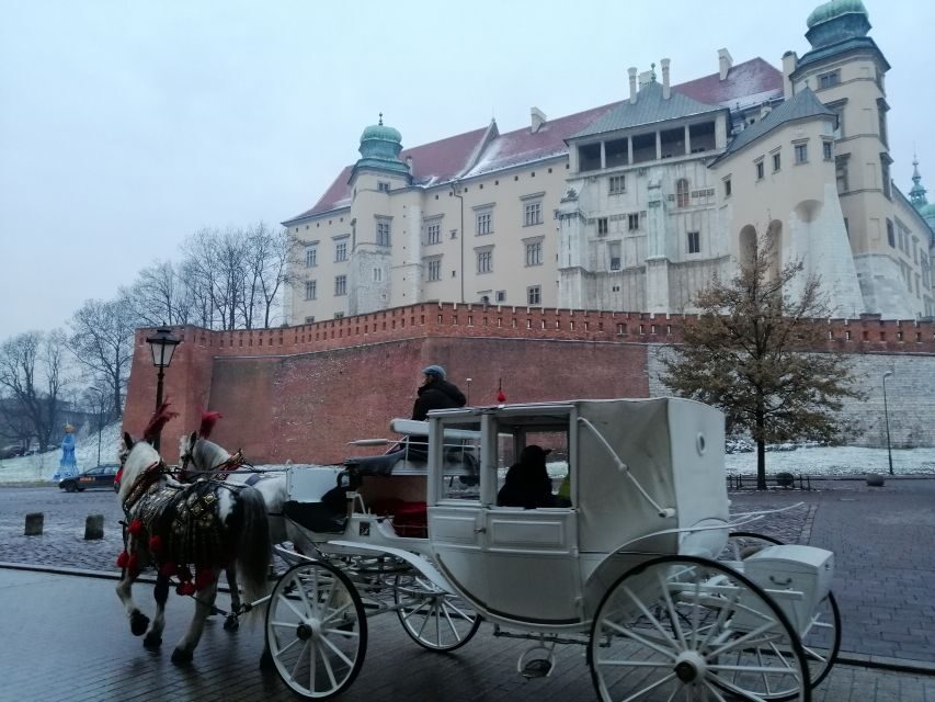 Warsaw: Auschwitz-Birkenau and Krakow Tour by Car - Should you book Warsaw to Auschwitz-Birkenau and Krakow by car?