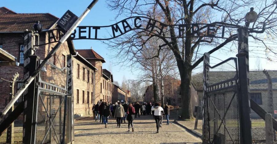 Warsaw: Auschwitz-Birkenau and Krakow Tour by Car - Krakow Main Market Square: 3 hours of old town magic on your terms