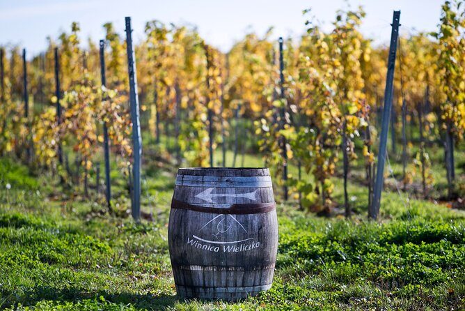 Wieliczka Vineyard: Wine tasting with local snacks - Meeting at Pawlikowice 1a: How to Start Without Rushing