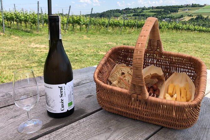 Wieliczka Vineyard: Wine tasting with local snacks - What to Bring and How to Dress for a Vines-and-Wine Session