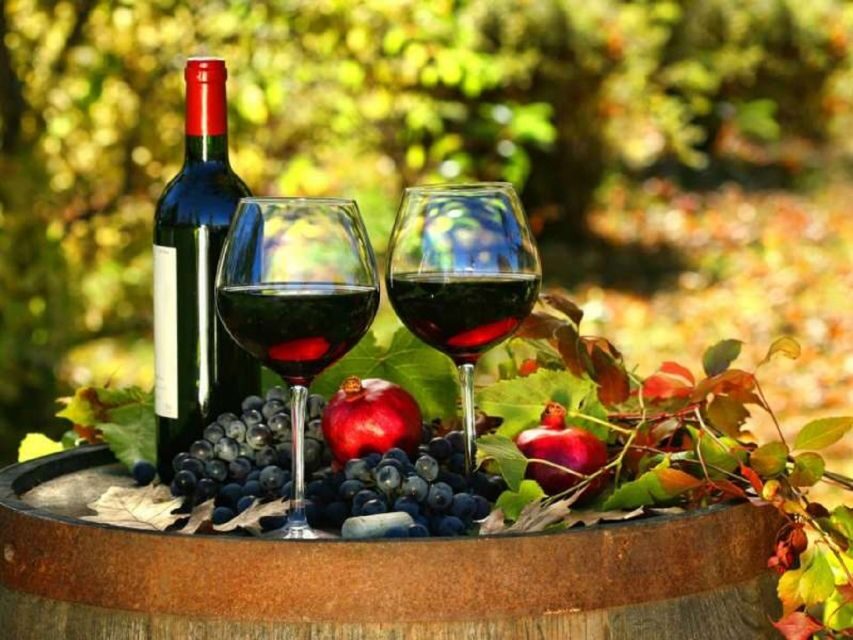 Wine Tasting Experience on the slopes of Vesuvius - Who this tour suits best