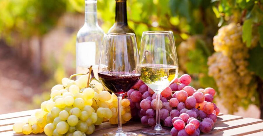 Wine tasting in the Vesuvius National Park - Key things you should know before you go
