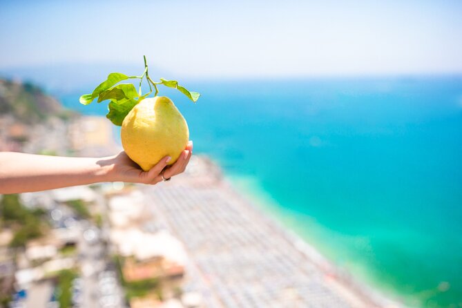 6-hour Private Tour, from Salerno to Pompeii, Ravello and Amalfi - Drivers and Safety: What You Can Learn From Real-Day Experiences