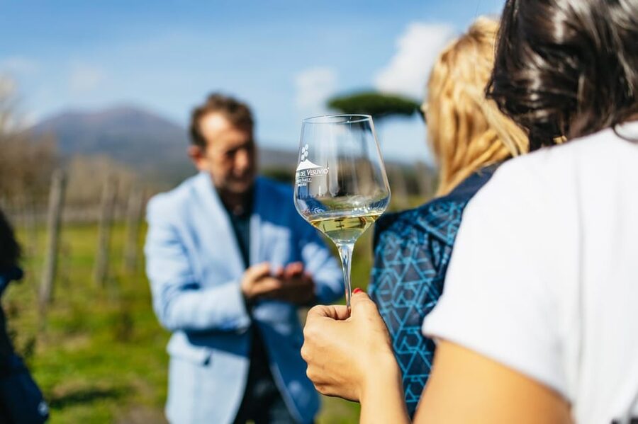 Naples: Pompeii and Mt. Vesuvius with Lunch and Wine Tasting - Key highlights you’ll feel immediately