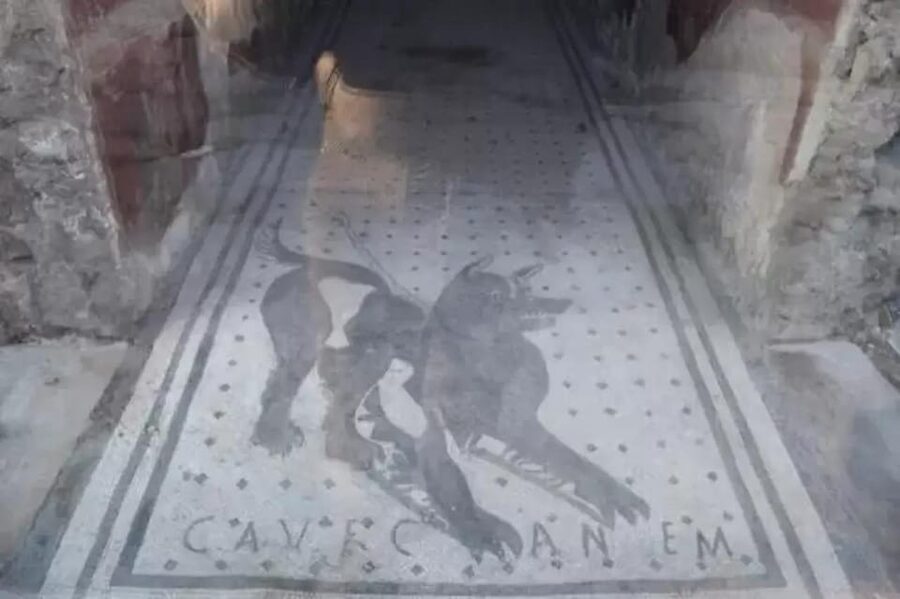 Pompeii: Skip the Line Ticket + Audioguide - What you’ll actually see: a self-guided Pompeii visit (and one notable exclusion)