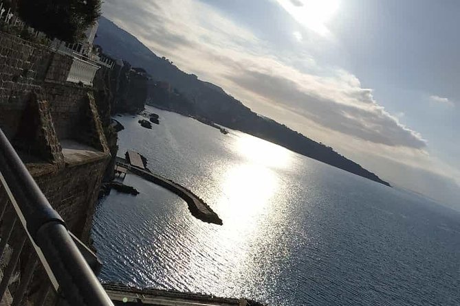 Private day tour to Pompei ,winery, Sorrento from Napoli/Salerno/Amalfi/Positano - Pompeii in the morning: ruins time with or without the private guide
