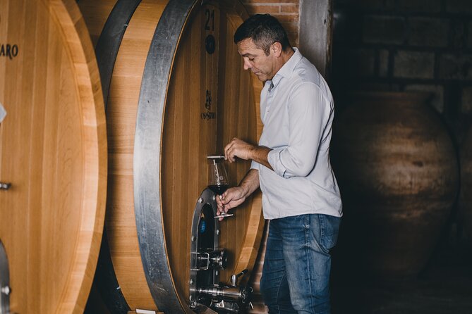 Wine Tasting and Winery Tour in Vesuvio National Park with Lunch - Key Highlights You’ll Care About