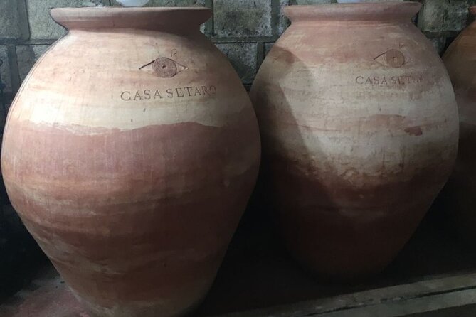 Wine Tasting and Winery Tour in Vesuvio National Park with Lunch - Cellar Tour in Lava Stone: Where You’ll See Fermentation Methods